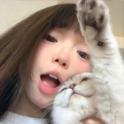 情系洛川红苹果